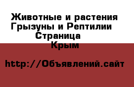 Животные и растения Грызуны и Рептилии - Страница 2 . Крым